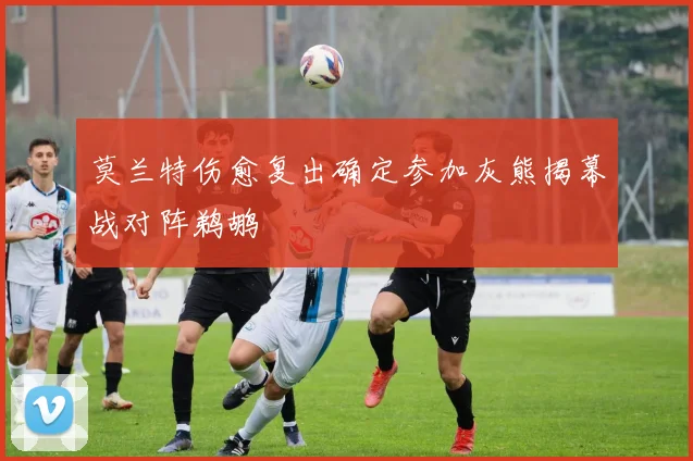 莫兰特伤愈复出确定参加灰熊揭幕战对阵鹈鹕