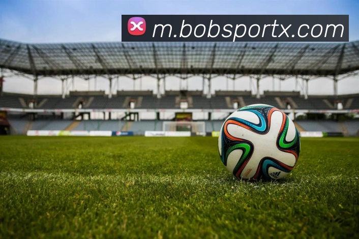 BOB体育平台生态图